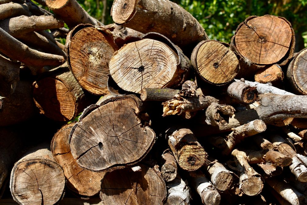 Træfældning nordsjælland  sikkerhed, pris og de bedste løsninger